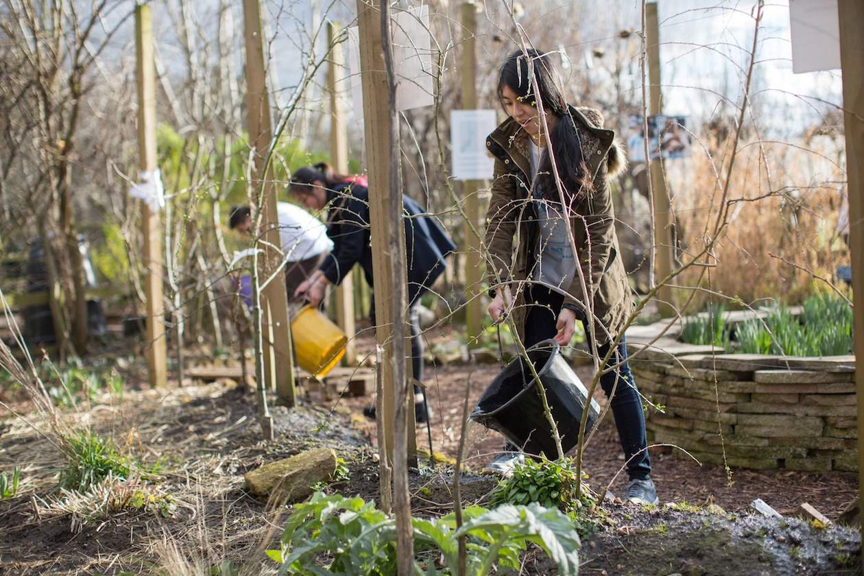 Imperial Hub student volunteers