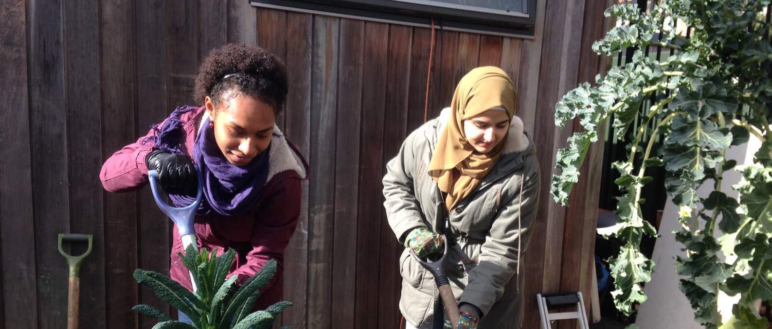 Two Kingston University student volunteers gardening