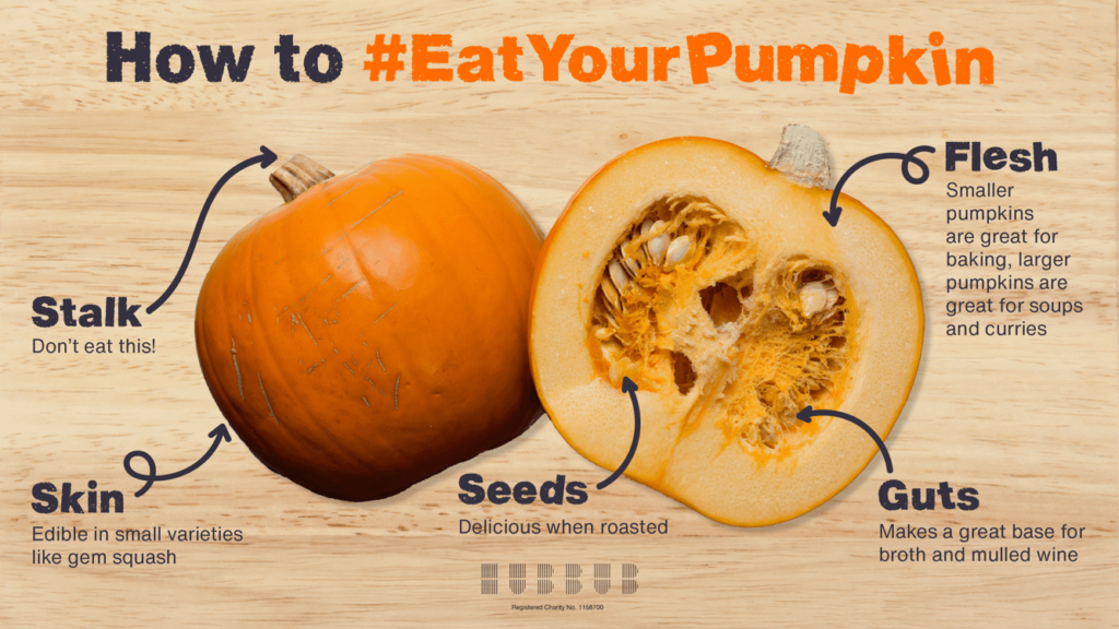 image showing various areas of pumpkin in regards to their edible components
