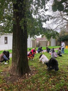 Group of students planting bulbs in a parkl