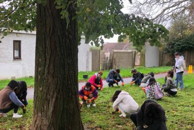 Group of students planting bulbs in a parkl