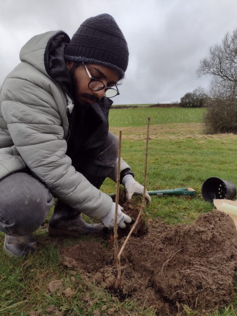 ID: a volunteer planting a sapling