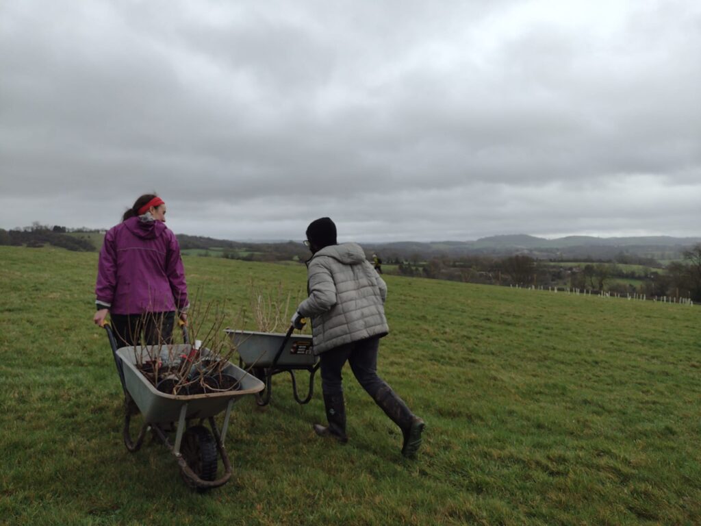 ID: two volunteers push wheelbarrows through a field 