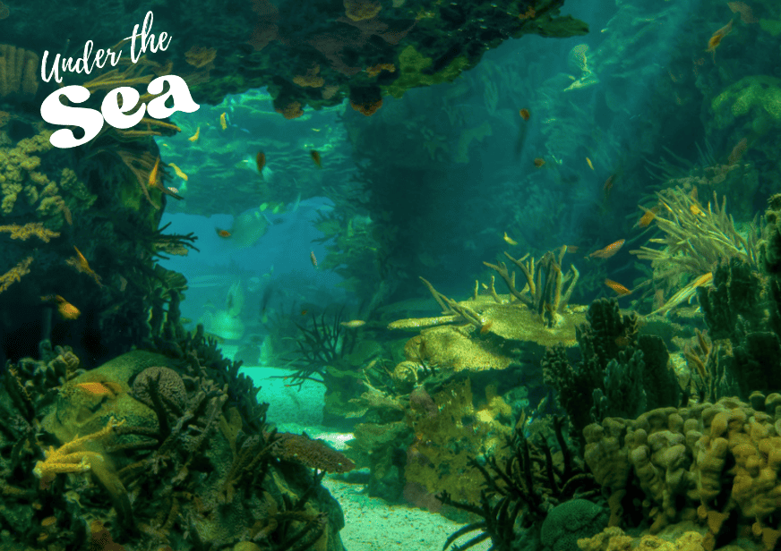 ID: a postcard showing an image taken by a scuba diver: there are colourful fish and interesting structures with coral on them. There is text reading "Under the sea".