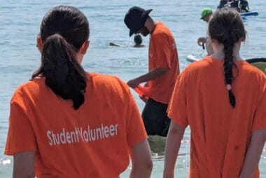 ID: a student volunteer looks out to sea on a Branch Up day to the beach